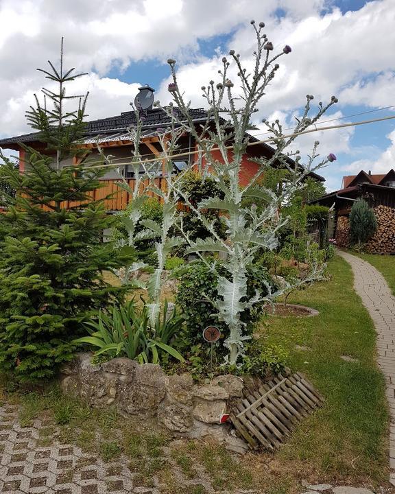 Gasthof Zur Schoenen Aussicht